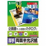 サンワサプライ カラーレーザー用半光沢紙・厚手［カラーレーザー /A3サイズ /100枚］ LBP-KCAGNA3N LBPKCAGNA3N 1個（ご注文単位1個）【直送品】