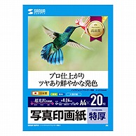 サンワサプライ 〔インクジェット〕写真印画紙・特厚 0.26mm [A4 /20枚]  JP-EP2NA4N JPEP2NA4N 1個（ご注文単位1個）【直送品】