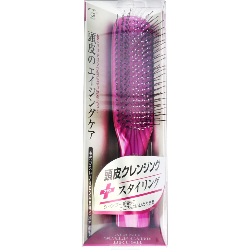 池本刷子工業　デュボア エイジング スカルプケアブラシ TC1300　1本（ご注文単位1本）【直送品】