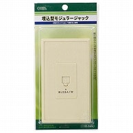 オーム電機 TP-3424 05-3424 埋込型モジュラージャック 6極4芯(NTT仕様)/6極2芯兼用（ご注文単位1袋）【直送品】