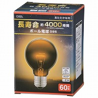 オーム電機 LB-GL9660K-CN 06-0863 長寿命ボール電球E26 60W形 G95クリア（ご注文単位1袋）【直送品】