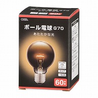 オーム電機 LB-G7660K-CN 06-0869 ボール電球 E26 60W形 G70 クリア（ご注文単位1袋）【直送品】