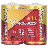 オーム電機 Vアルカリ乾電池 単1形 2本パック   LR20VN2S ［2本 /アルカリ］ LR20VN2S 1個（ご注文単位1個）【直送品】