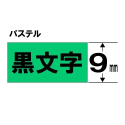 キングジム カラーラベル(パステル) テープ TC9G 緑 ［黒文字 /12mm幅］ TC9G 1個（ご注文単位1個）【直送品】