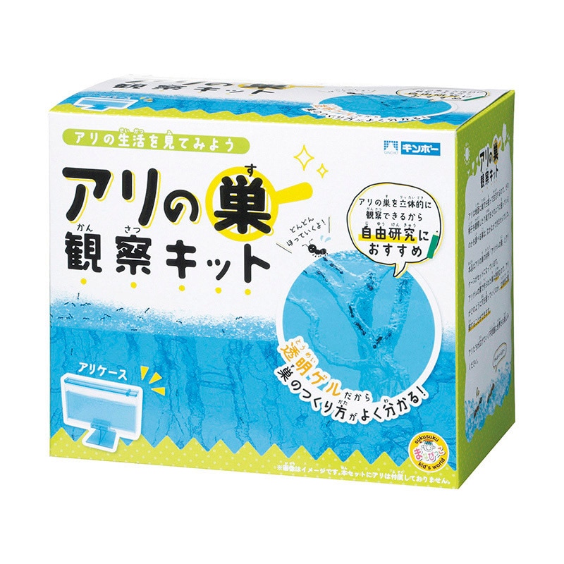 銀鳥産業 ギンポー　アリの巣観察キット  307-060 1個（ご注文単位24個）【直送品】