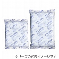 大黒工業 保冷剤　IT’S　COOL　不織布タイプ I-500F　500g 372098 30個/箱（ご注文単位1箱）【直送品】