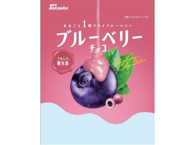 高岡食品工業ブルーベリーチョコ90g※軽（ご注文単位12個）【直送品】