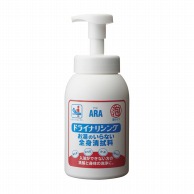 アラ！　ドライナリシング 550ml 1899345 10個（ご注文単位1個）【直送品】