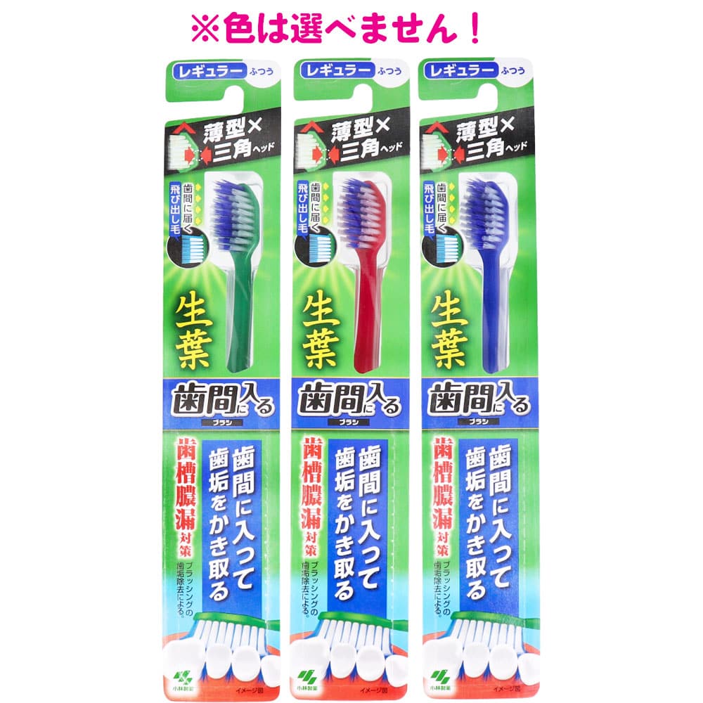 小林製薬　生葉 歯間に入るブラシ レギュラーヘッド ふつう 　1本（ご注文単位1本）【直送品】