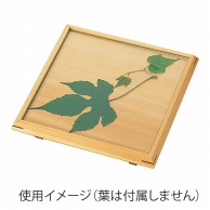 ヤマコー ひのき前菜皿　7寸正角　ガラス付  38486 1個（ご注文単位1個）【直送品】