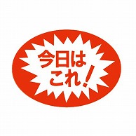 金久 POPシール 今日はこれ！ C-33 1束（ご注文単位1束）【直送品】