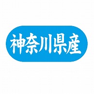 金久 POPシール 神奈川県産 G-563 1束（ご注文単位1束）【直送品】