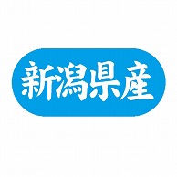 金久 POPシール 新潟県産 G-566 1束（ご注文単位1束）【直送品】