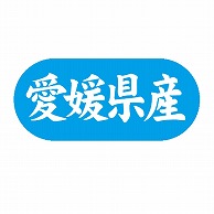 金久 POPシール 愛媛県産 G-587 1束（ご注文単位1束）【直送品】