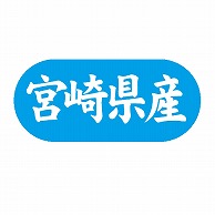 金久 POPシール 宮崎県産 G-594 1束（ご注文単位1束）【直送品】