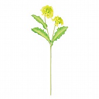 ドガ 菜の花ブッシュ  FLS-0733 1本（ご注文単位1本）【直送品】