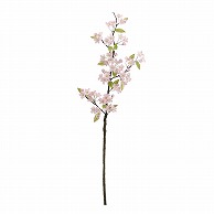 ドガ 乙女桜  FLS-5150 1本（ご注文単位1本）【直送品】