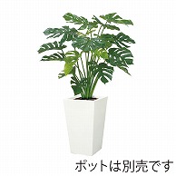 ドガ モンステラ グリーン LET-2028 1本（ご注文単位1本）【直送品】