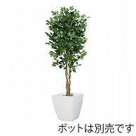 ドガ フィカスツリー M　180cm　ナチュラルトランク NGT-2017-M 1本（ご注文単位1本）【直送品】