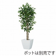 ドガ フィカスツリー S　150cm　ナチュラルトランク NGT-2017-S 1本（ご注文単位1本）【直送品】