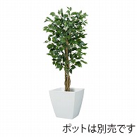 ドガ フィカスツリー SS　120cm　ナチュラルトランク NGT-2017-SS 1本（ご注文単位1本）【直送品】