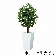 ドガ フィカスツリー XS　90cm　ナチュラルトランク NGT-2017-XS 1本（ご注文単位1本）【直送品】