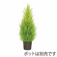 ドガ ゴールドクレストツリー 60cm LET-2052 1本（ご注文単位1本）【直送品】