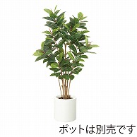 ドガ ゴムの木 150cm LET-2061-M 1本（ご注文単位1本）【直送品】