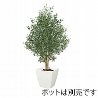 ドガ オリーブツリー M　ナチュラルトランク NGT-2025-M 1本（ご注文単位1本）【直送品】