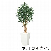 ドガ ドラセナツリー M　ナチュラルトランク NGT-2026-M 1本（ご注文単位1本）【直送品】