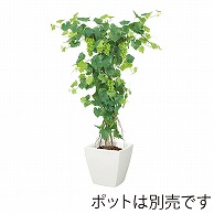 ドガ グレープツリー M　ナチュラルトランク NGT-2027-M 1本（ご注文単位1本）【直送品】