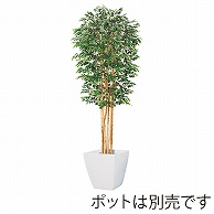 ドガ トネリコツリー 180cm　M　ナチュラルトランク NGT-2033-M 1本（ご注文単位1本）【直送品】