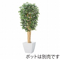 ドガ トネリコツリー 150cm　S　ナチュラルトランク NGT-2033-S 1本（ご注文単位1本）【直送品】