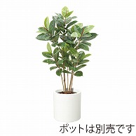 ドガ ゴムの木 S　120cm LET-2061-S 1本（ご注文単位1本）【直送品】