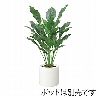 ドガ ストレリチア　リーフツリー 125cm LET-2066-L 1本（ご注文単位1本）【直送品】