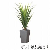 ドガ メキシカンアロエプラント L LET-2067-L 1本（ご注文単位1本）【直送品】