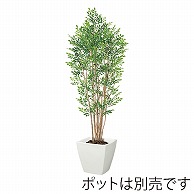 ドガ プレミアムトネリコツリー ナチュラルトランク NGT-2038 1本（ご注文単位1本）【直送品】