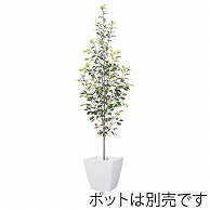 ドガ フィカスツリー 190cm LET-2079-L 1本（ご注文単位1本）【直送品】