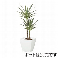 ドガ ユッカツリー 112cm LET-2081 1本（ご注文単位1本）【直送品】