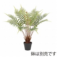 ドガ レザーファーン 68cm LET-2082 1本（ご注文単位1本）【直送品】