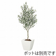 ドガ 南欧オリーブツリー 150cm LET-2089 1本（ご注文単位1本）【直送品】