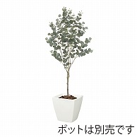 ドガ ユーカリツリー 150cm LET-2090 1本（ご注文単位1本）【直送品】