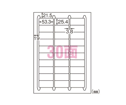 エーワン（A-ONE） ラベルシール[レーザープリンタ]水に強いタイプ　31375 1パック（ご注文単位1パック）【直送品】