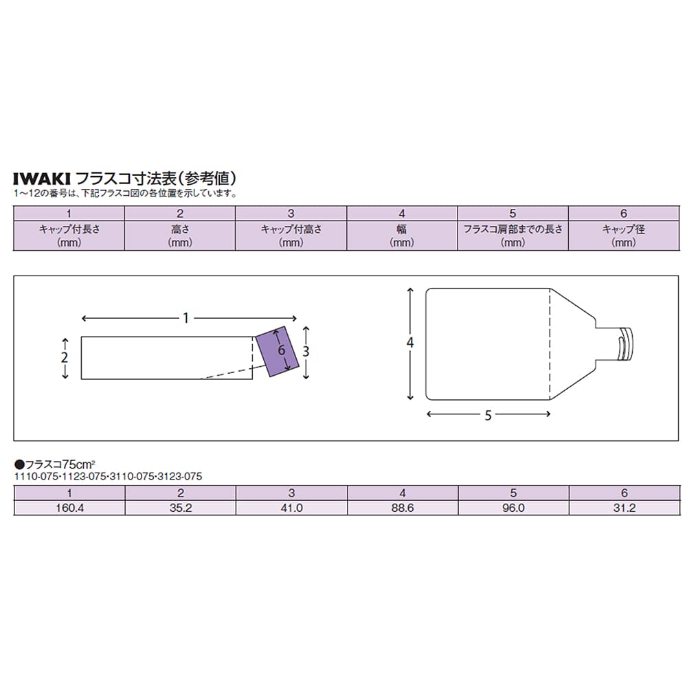 AGCテクノグラス・IWAKI 組織培養用フラスコ（付着性細胞用） 75cm2 ダブルシールキャップ 100個　3110-075 1箱（ご注文単位1箱）【直送品】