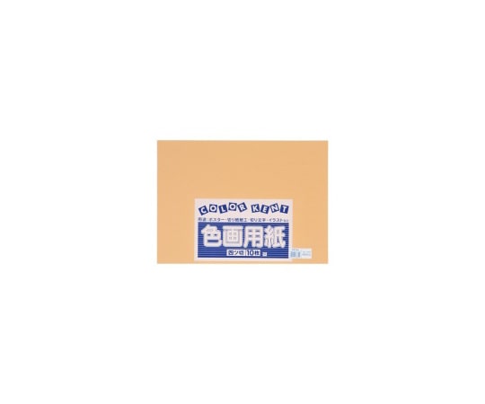 エリエール（大王製紙） 再生色画用紙　4ツ切　10枚　うすちゃ　B-43 1冊（ご注文単位1冊）【直送品】