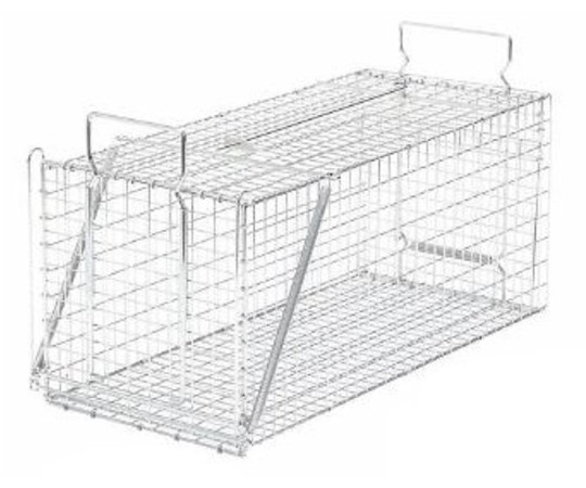 栄工業 栄ヒルズ　捕獲器　D　type　No.202　IT-2　対象動物イタチ（オス）　598009 1台（ご注文単位1台）【直送品】