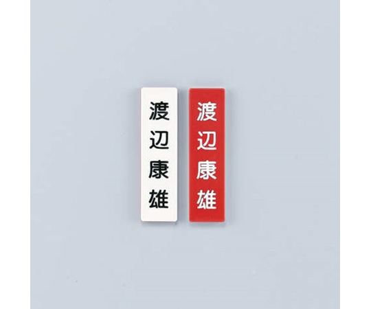 ライオン事務器 人名プレート 赤/白 社員一覧表 1パック（10枚入）　No.20 1パック（ご注文単位1パック）【直送品】