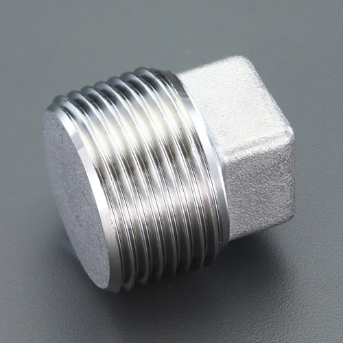 エスコ EA469AL-325A R2・1/2”プラグ(ステンレス製) 1個（ご注文単位1個）【直送品】