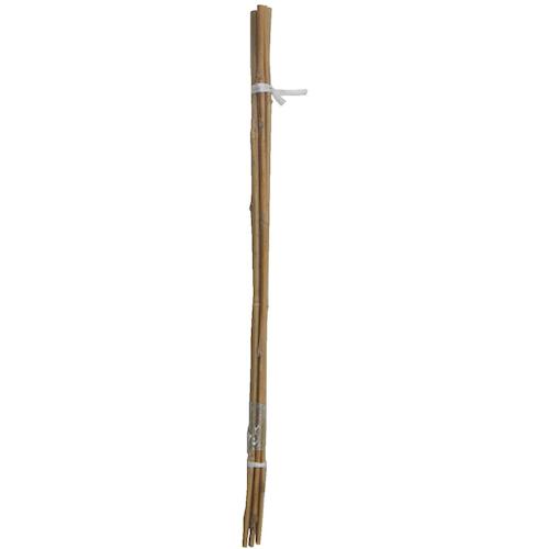 トラスコ中山 伝蔵 園芸支柱60cm5本束 520-6469  (ご注文単位1束) 【直送品】