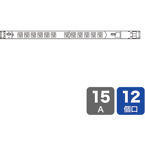 トラスコ中山 SANWA 19インチサーバーラック用コンセント（15A） 250-1447  (ご注文単位1個) 【直送品】